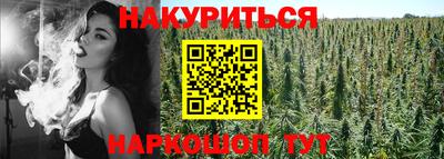 дживик Будённовск